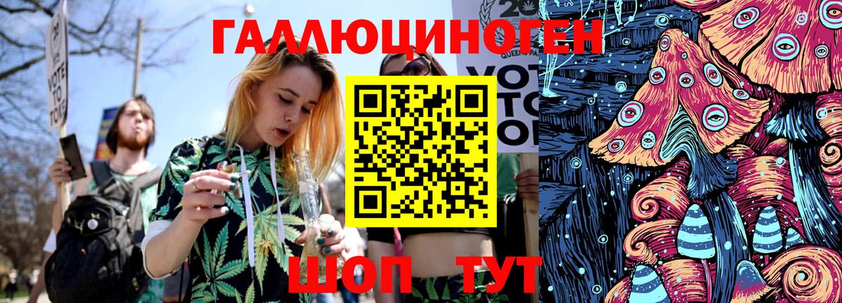 Галлюциногенные грибы Psilocybe Нижнеудинск